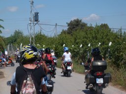 XVIII Concentracion - 2011